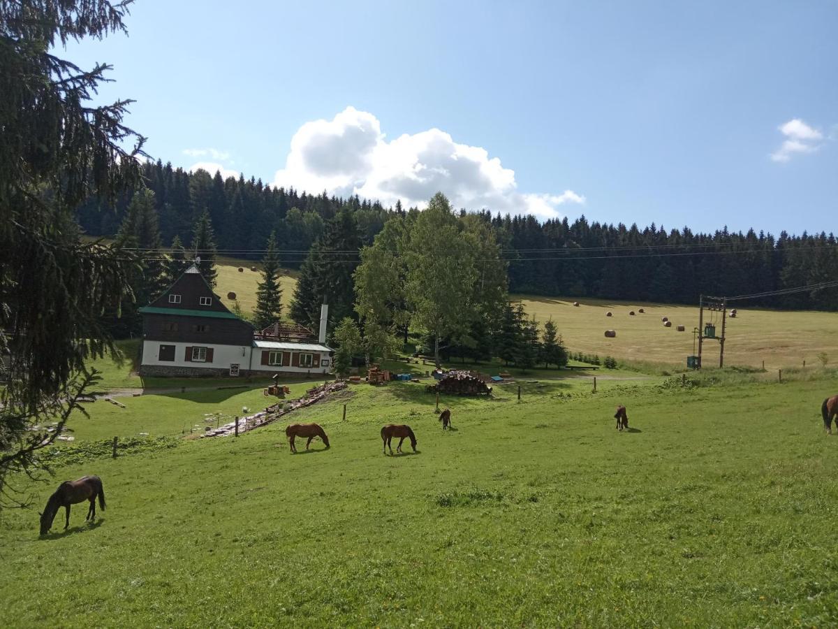 Penzion La Baita Бранна Экстерьер фото