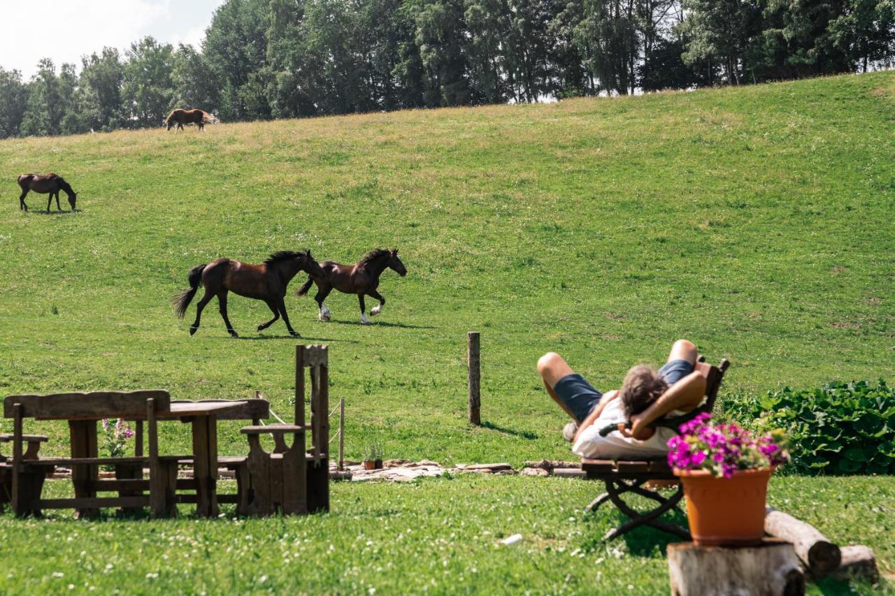 Penzion La Baita Бранна Экстерьер фото